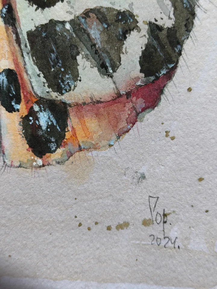 Moth watercolor