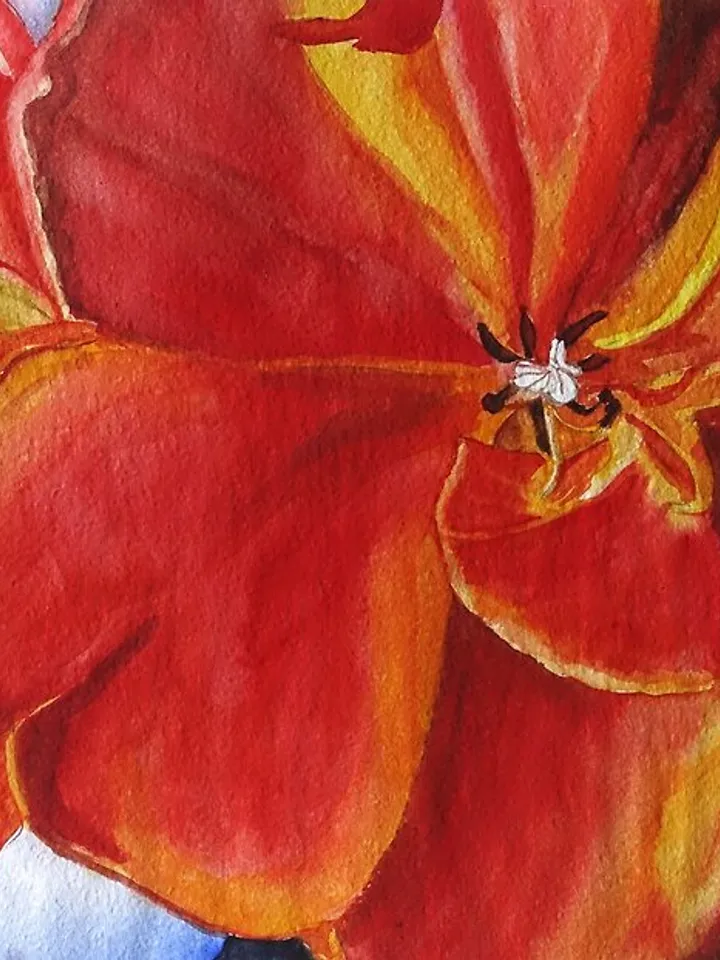 Tulip Painting Watercolor Floral Artwork Texas Original Art Tulip Floral Art