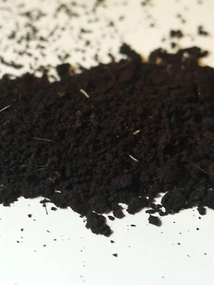 Musk musk deer (pure) 1 gram