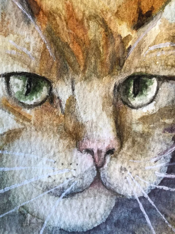Cat portrait original watercolour painting hand painted