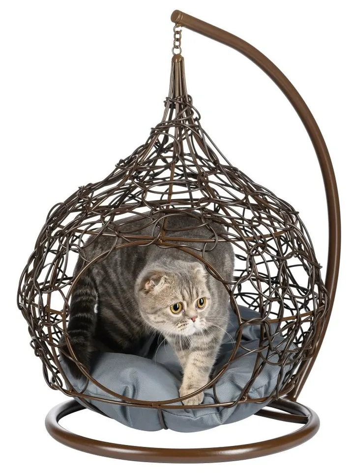 Cat chair Hanging Egg for pet Bed for cat