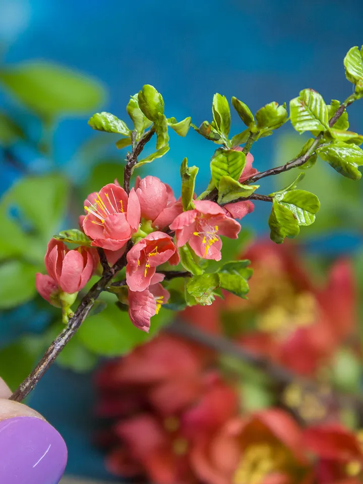 TUTORIAL Miniature branch of flowering quince with air dry clay
