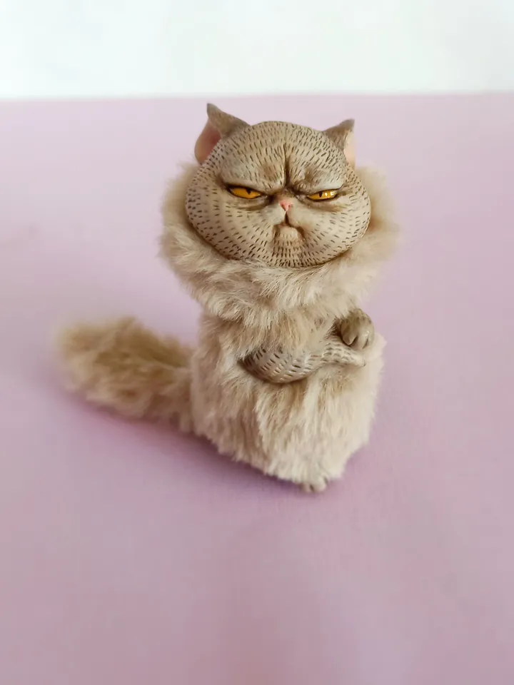 Offended angry cat