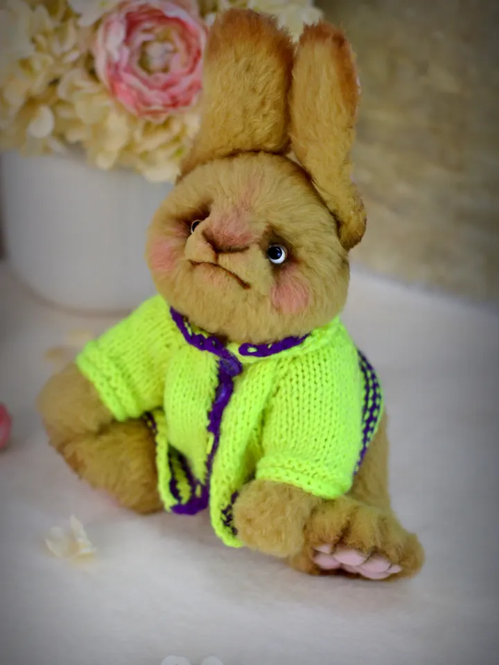 Teddy bunny, a soft toy