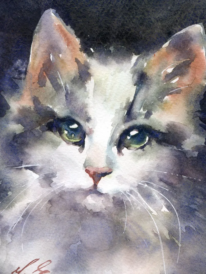 Kitten painting Original watercolor small art by Yulia Evsyukova