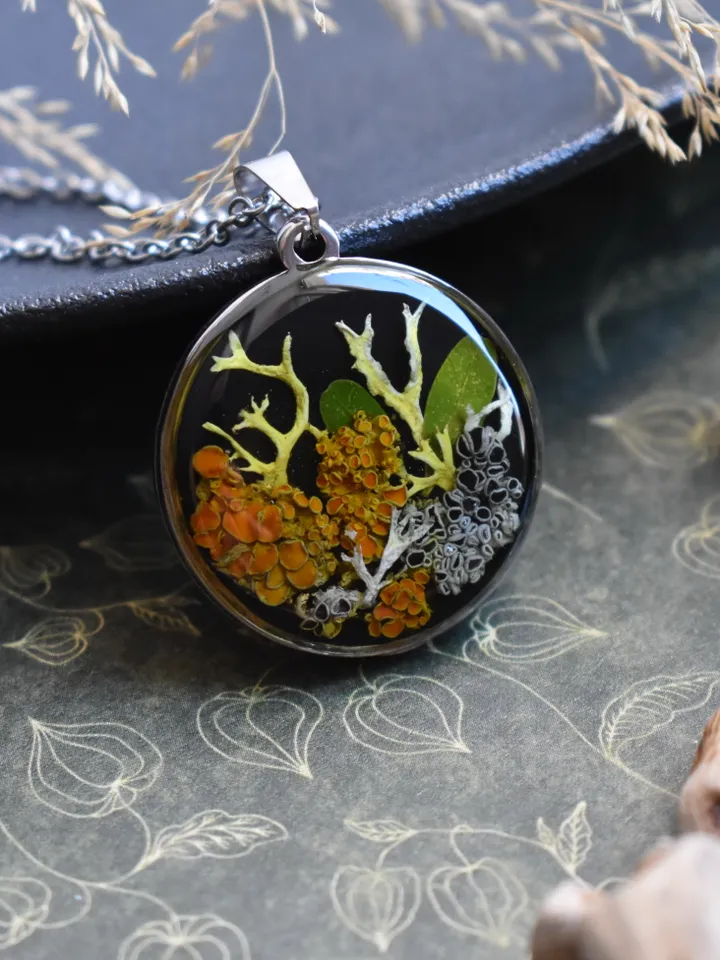 Lichen pendant. Pendant with lichen in resin. Necklace with real lichen. Forest medallion with lichen and moss in resin.