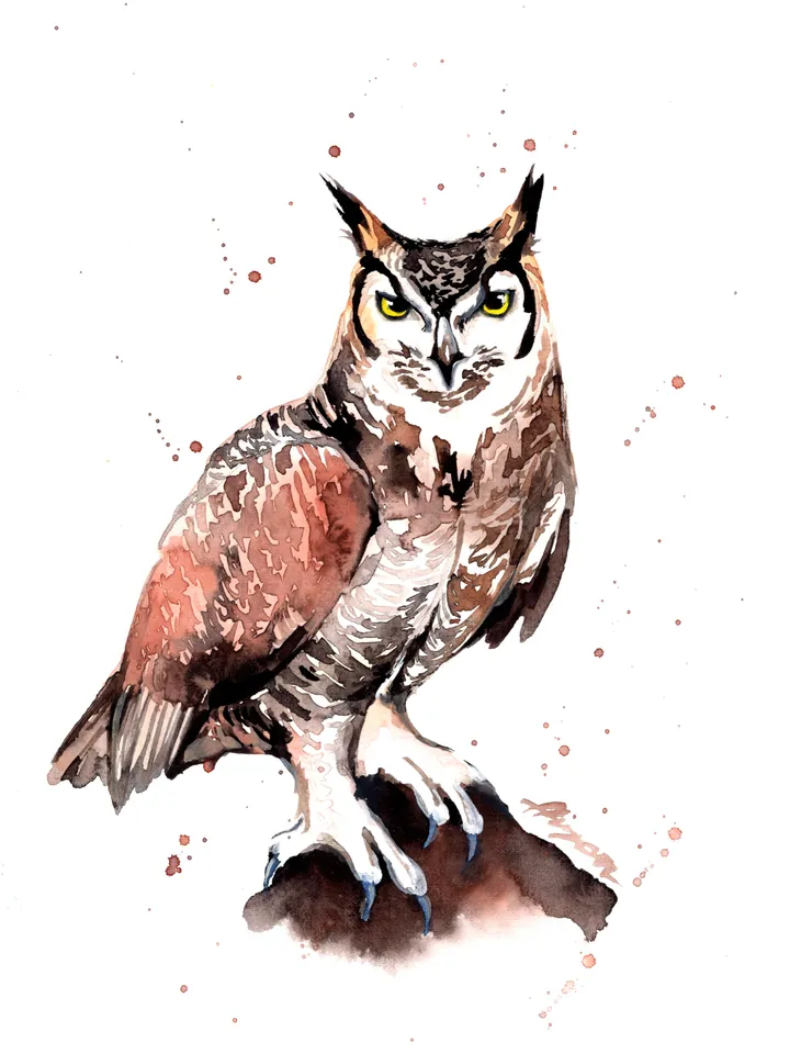 Owl Original watercolor, bird painting, wall decor, birds lover gift, 8x11 in handmade art by Anne Gorywine