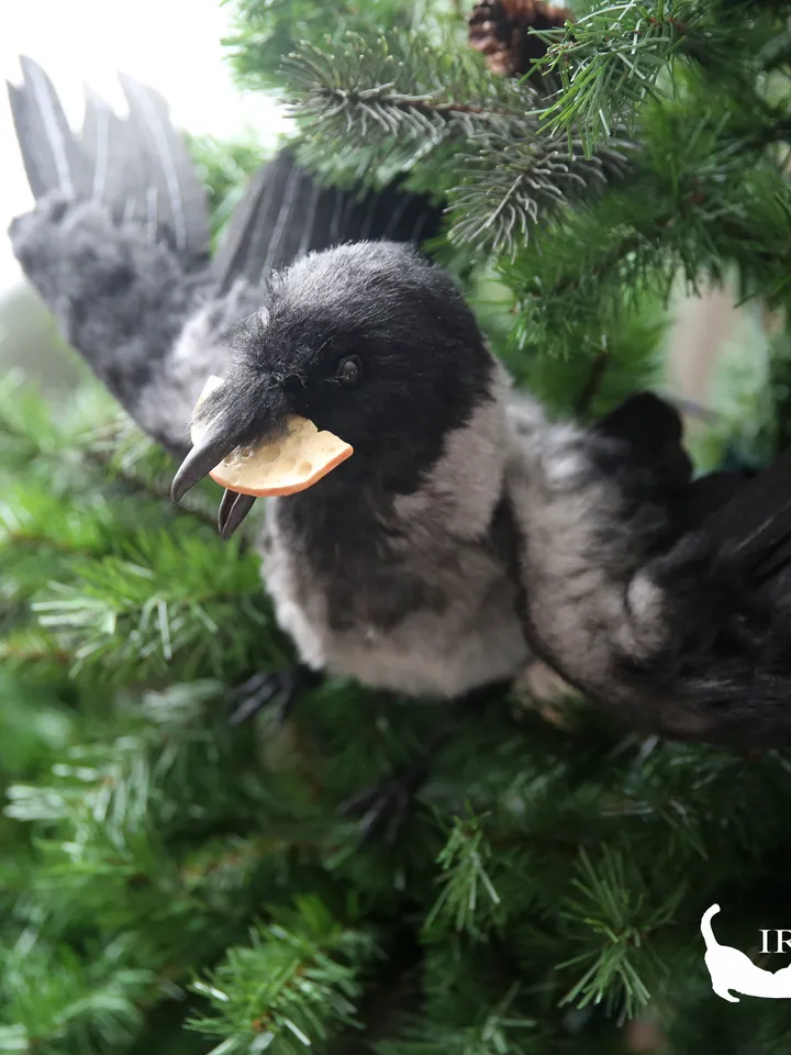 Grey crow with cheese realistic plush toy.