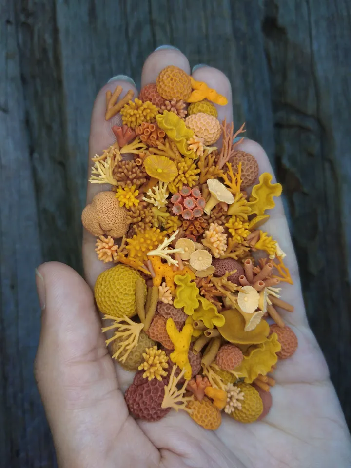 Set of miniature corals shades of orange, tiny corals for diorama, dollhouse or resin art