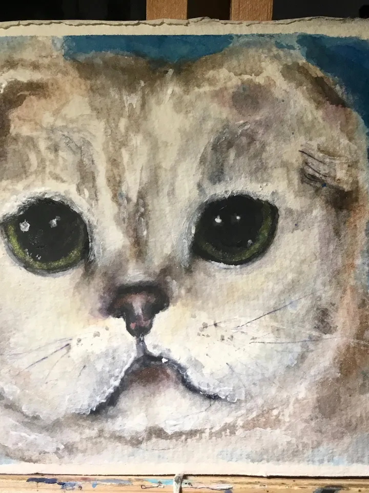 Scottish fold cat original watercolour painting,animals painting,gift for cat lovers,unique gift,white cat painting.
