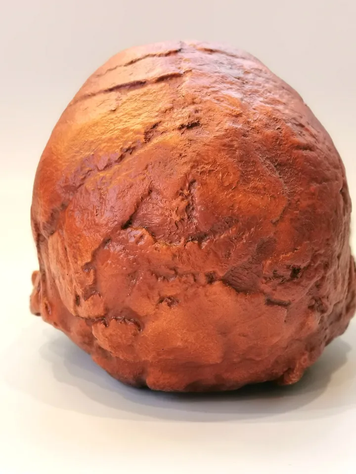 Homo Rudolfensis Skull Replica (KNM-ER), Prehistoric Fossil Collection, Realistic Hominid Skull