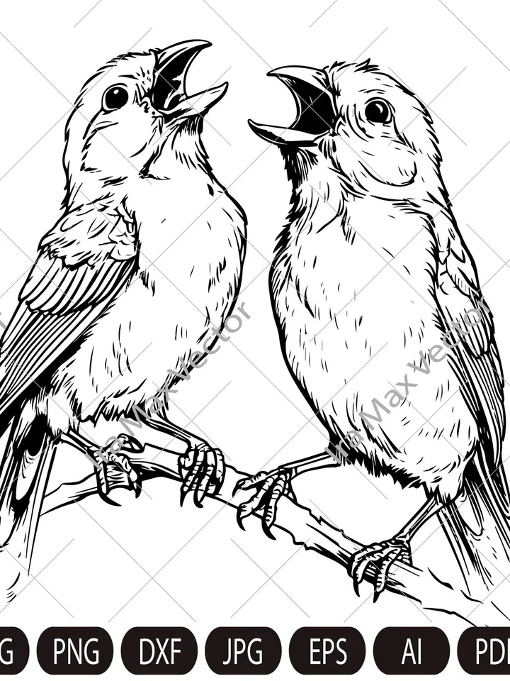Canary SVG, Canary Bird Svg, Canaries singing svg, Pair of canaries, Canary Png, Canary Clipart, Canary Files