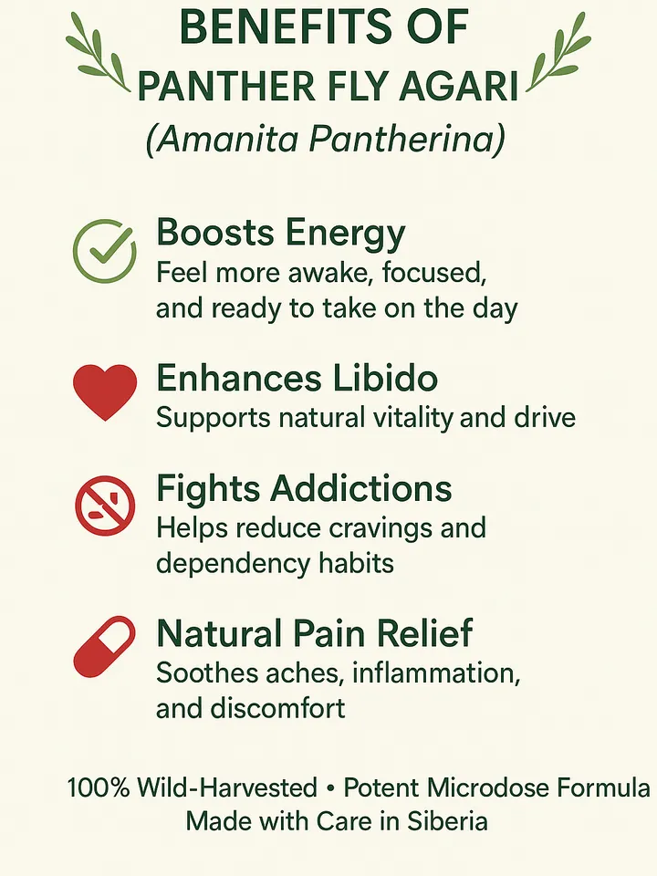 Panther fly agaric for Natural Relax & Restore • Stress Relief • Sleep Support • Wild 60с