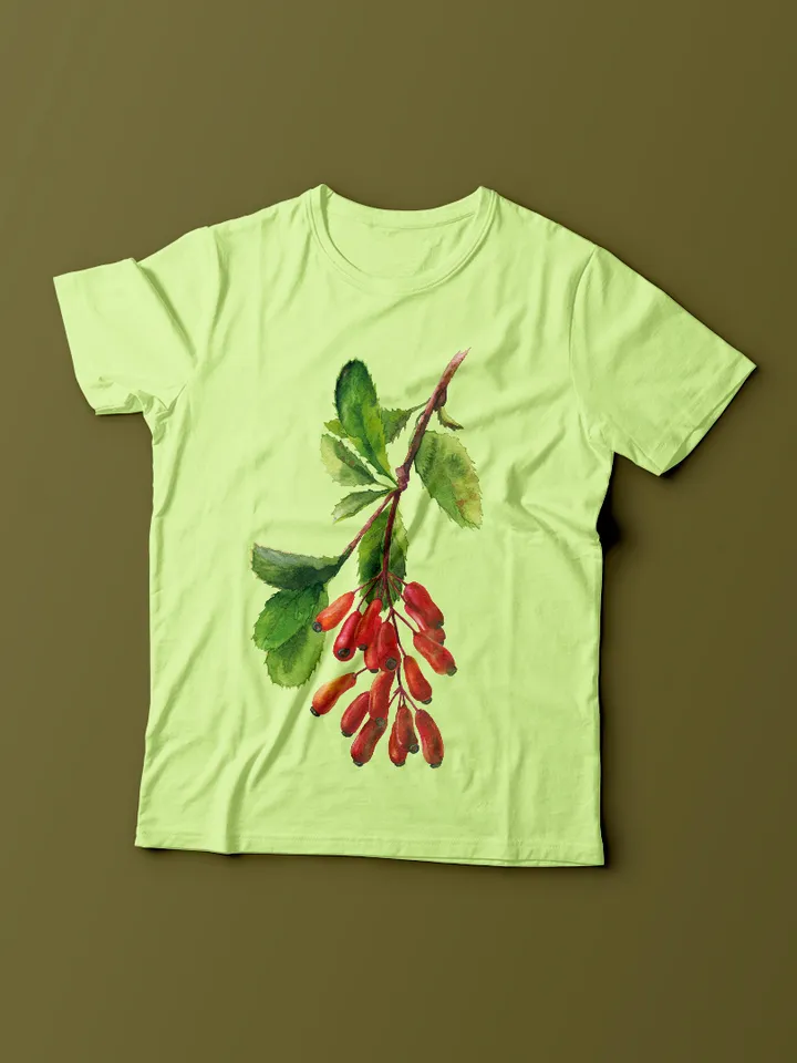 FREE clipart Barberry branch with berries Botanical illustration Watercolor digital File Art print Clipart with berries Large poster