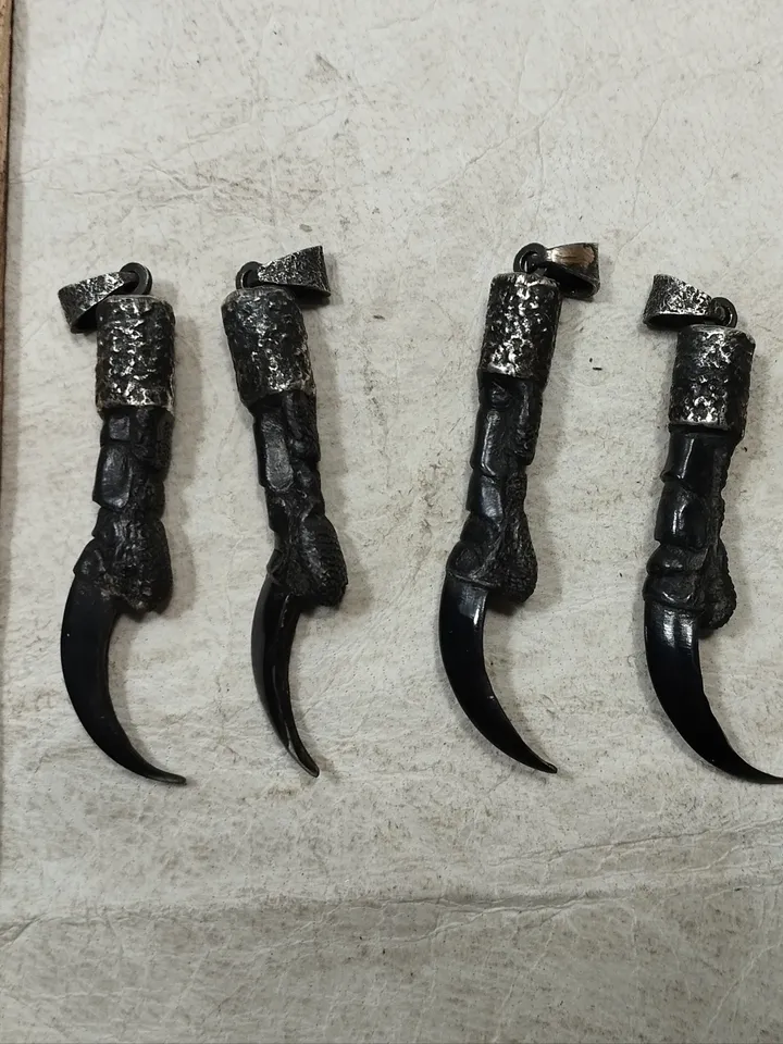 Raven's claw in silver frame