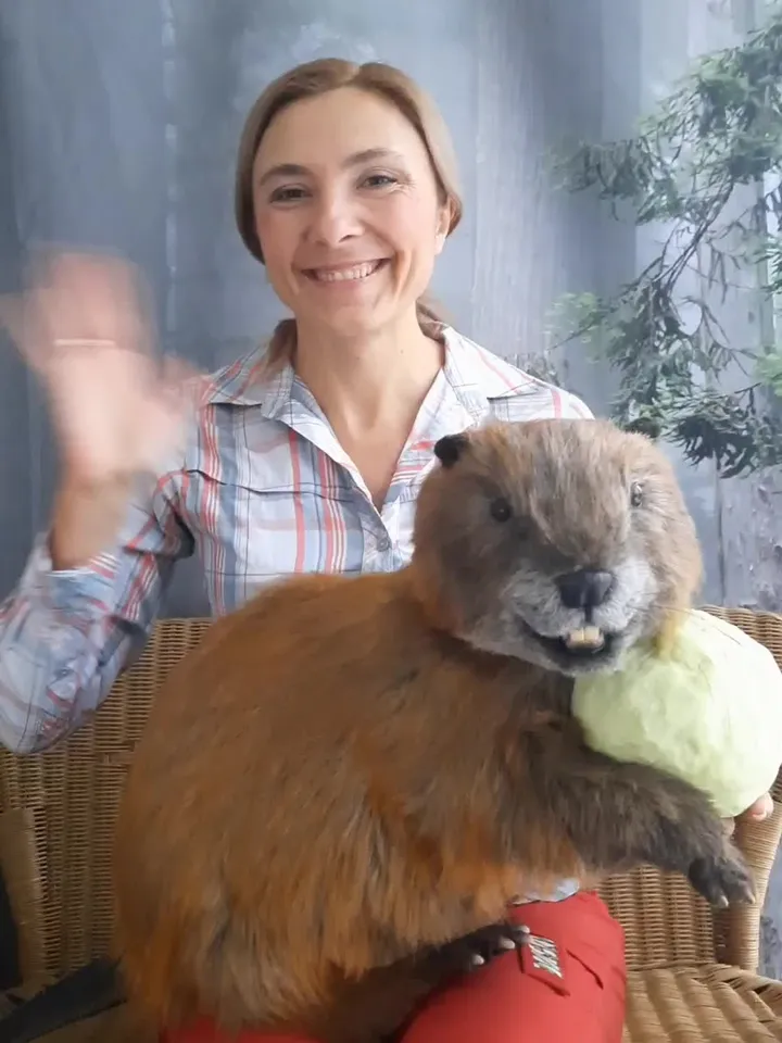 Beaver Boris realistic plush toy