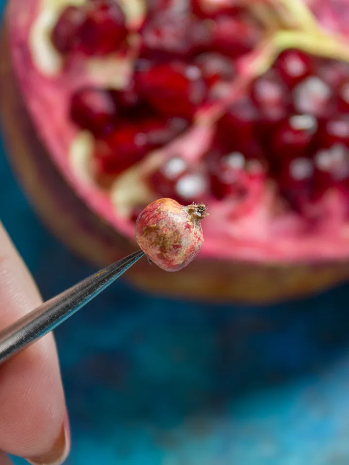 TUTORIAL Miniature polymer clay pomegranate with polymer clay