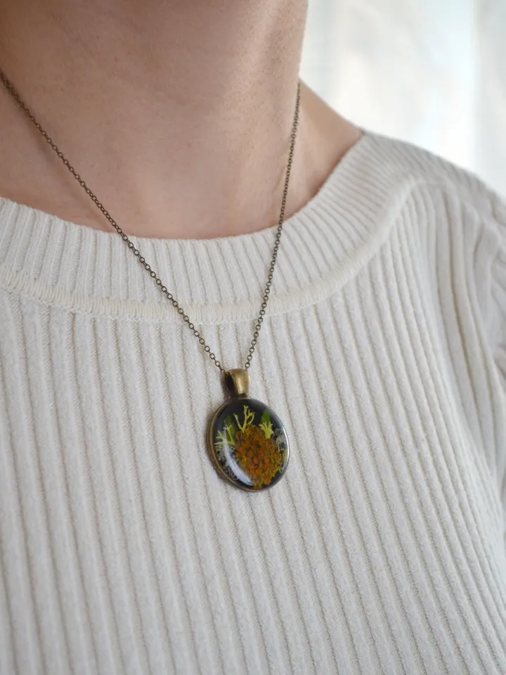 Lichen pendant. Pendant with lichen in resin. Necklace with real lichen. Forest medallion with lichen and moss in resin.