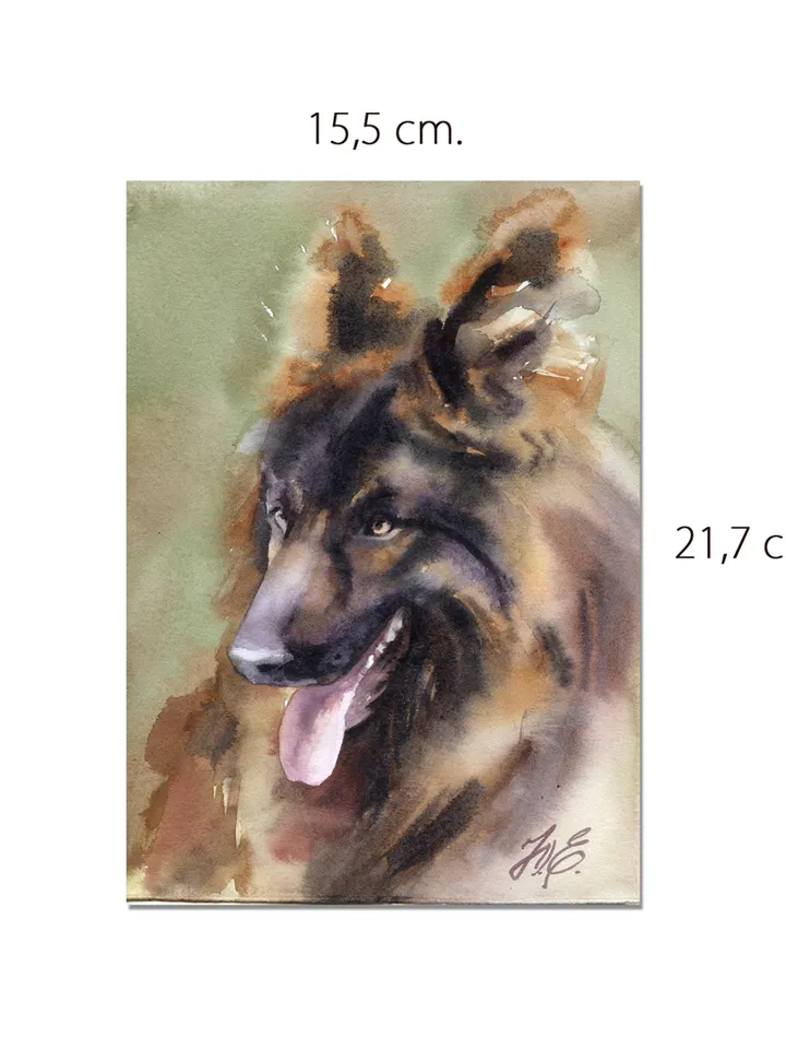 Shepherd painting Original watercolor dog artwork by Yulia Evsyukova