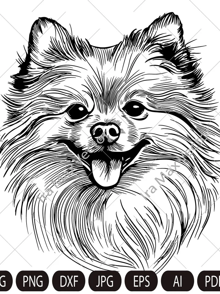 Pomeranian spitz dog svg,Spitz clip art, Smiling dog vector graphic art, Pomeranian spitz detailed, Spitz standing,White Spitz