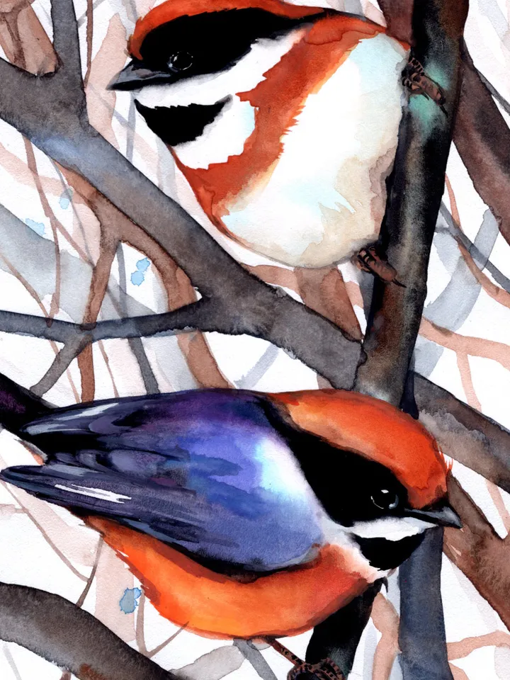 Original watercolor birds, bird painting, wall decor, birds lover gift, 8x11 in handmade art by Anne Gorywine