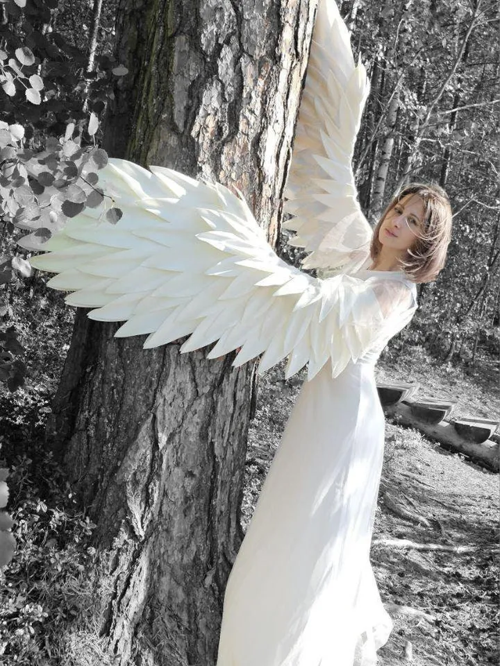 White wings, Christmas wings, sleeves, arms wings, gloves, poultry wings, swan