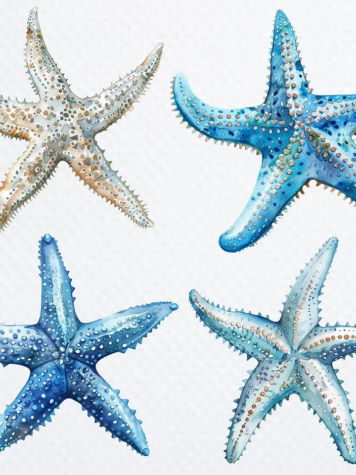 12 Starfish PNG bundle, Printable Watercolor Starfish clipart, sea star Sublimation, sea pack, Digital download, Paper craft, junk journal