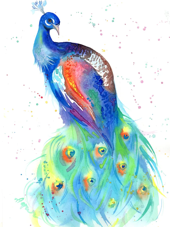 Peacock original watercolor, birds painting, wall decor, 7x10 in art for bird lovers by Anne Gorywine