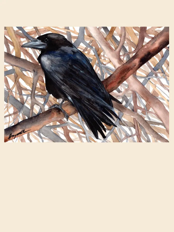 Raven Original watercolor, bird painting, wall decor, 8x11 in crow art by Anne Gorywine