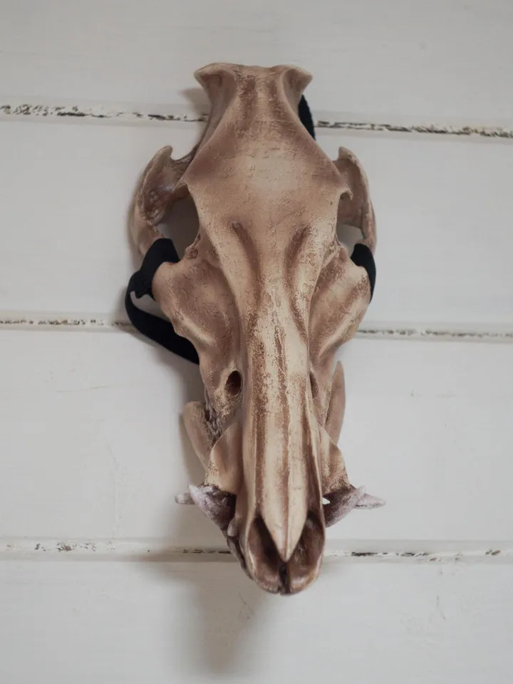 Boar Skull Mask | animal skull mask | Viking skull Mask | resin skull mask | cosplay face mask | halloween scary mask | creepy mask