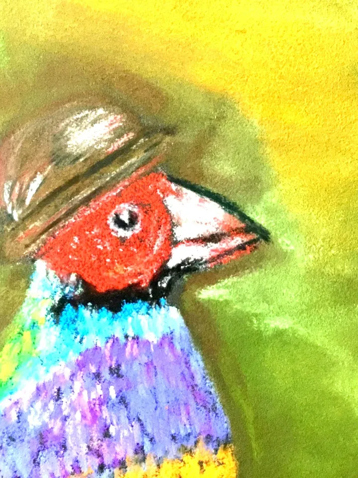 Funny birds painting ,3 friends, original pastel painting,bright colours.
