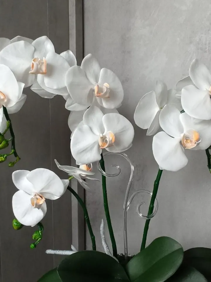 artificial orchid for living room, phalaenopsis, decorative orchid, table orchid, orchid flowers for room