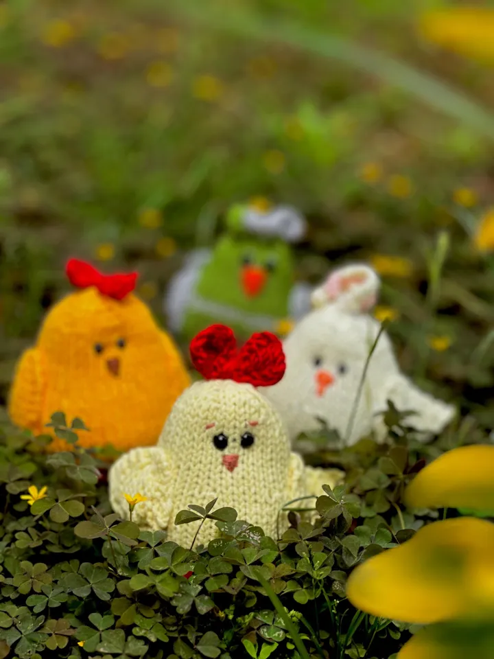 PDF Chicken Knitting Pattern, Knitted Toy Tutorial, Knitted Animal Pattern, Chick