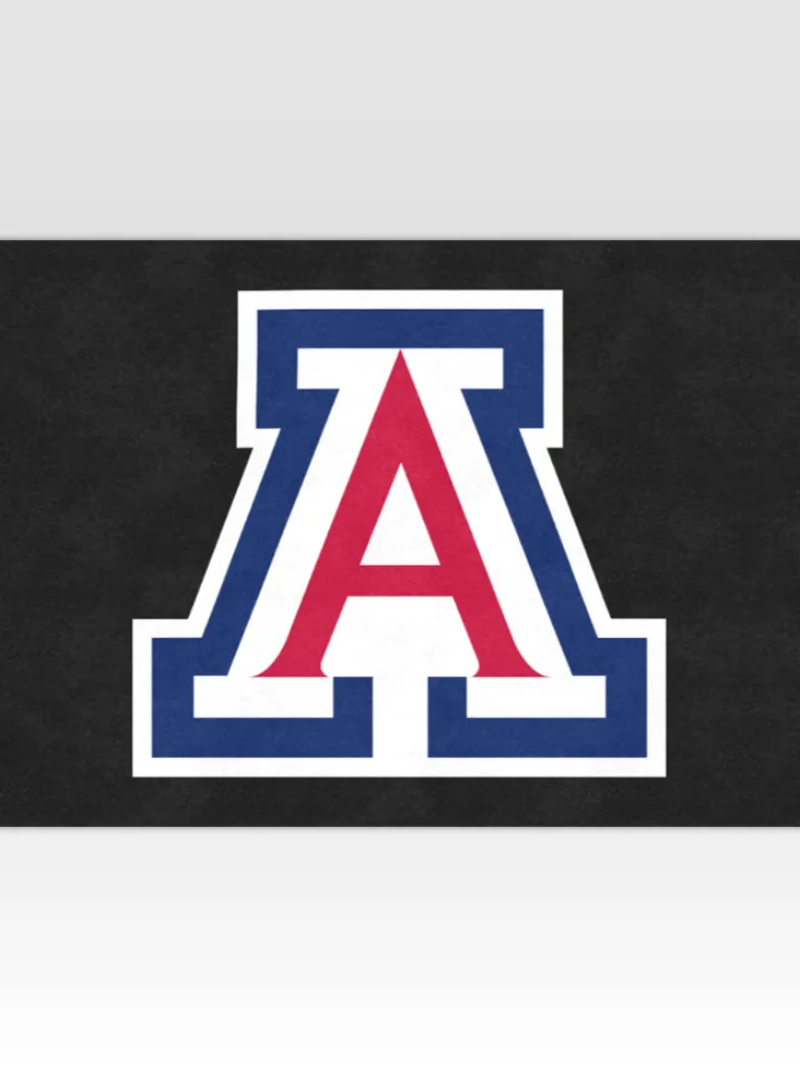 Arizona Wildcats DoorMat