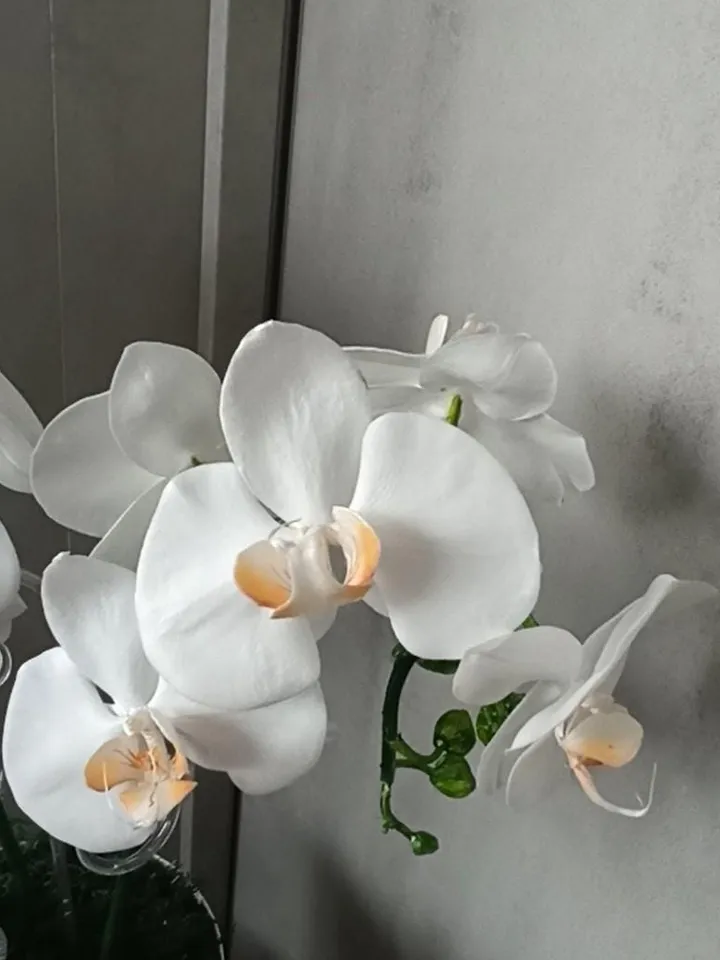 artificial orchid for living room, phalaenopsis, decorative orchid, table orchid, orchid flowers for room