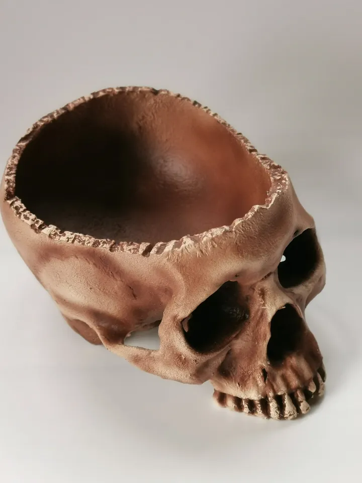 Skull Planter, Human Skull Bowl, Skeleton Bowl, Skull Decoration, Skull Pot, Halloween Bowl, Realistic Human Size Skull Replica Bowl