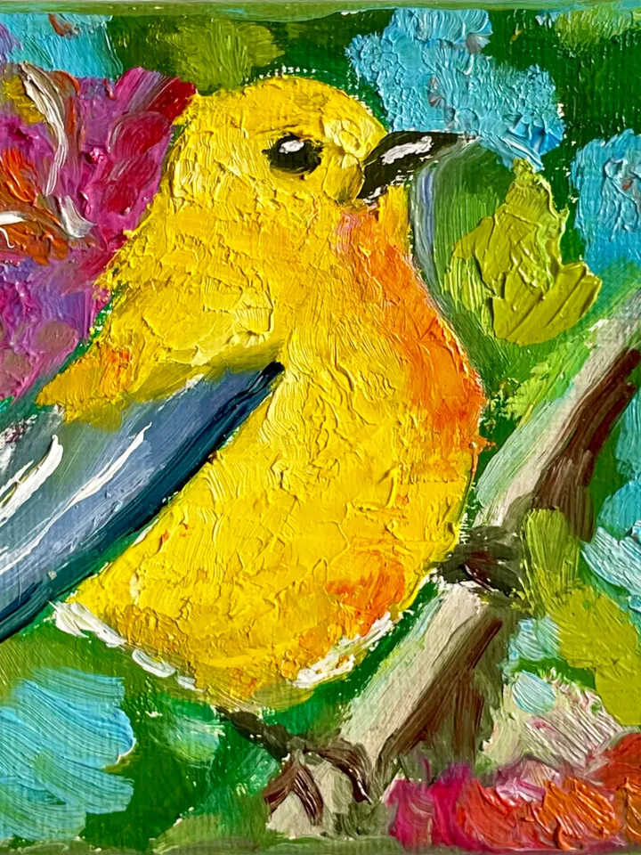 Yellow Wabler Painting, Bird Original oil Painting on Canvas, Wildlife Art, Miniature Artwork 4"x 4"