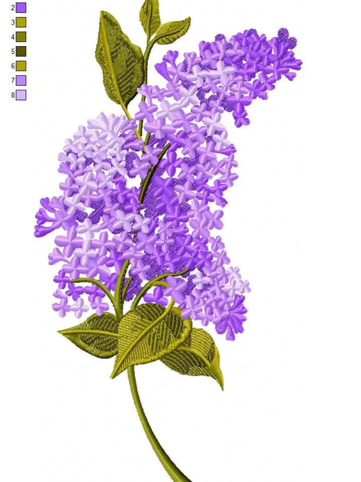 lilac