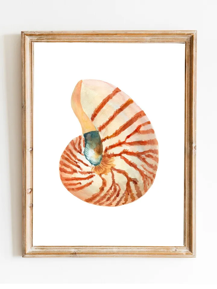 Shells, Shell art,Sea Shell Art, Shell Decor, Beach Cottage Art, Sea Shells Painting, Marine, Coastal Decor, Beach House art, Beach Artt,