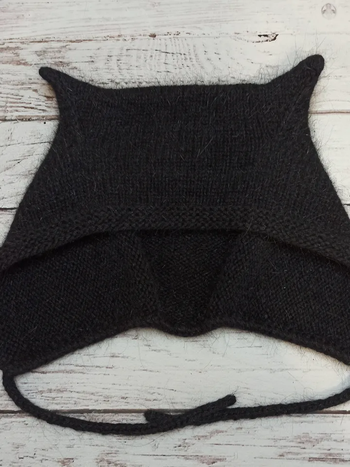 Hat with cute cat ears for women.