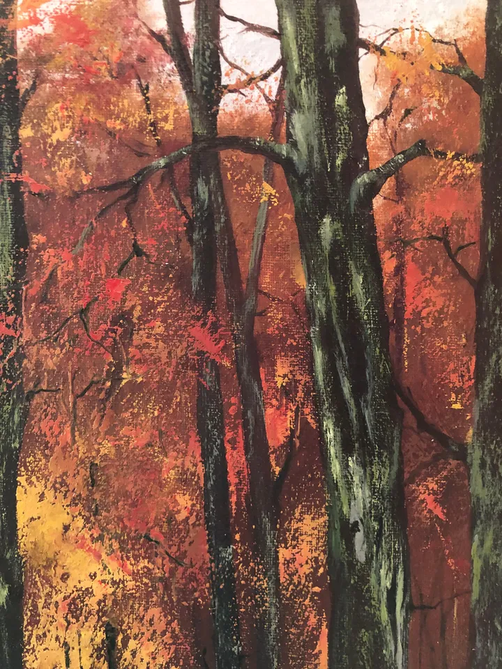 Forest Original Oil Painting Autumn Art Trees Painting