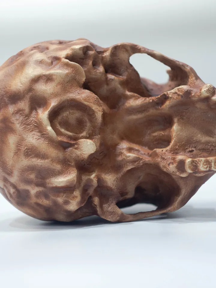 Homo Neanderthal La Ferrasie 1 Skull Replica, Prehistoric Fossil Collection, Realistic Hominid Skull, Museum Quality