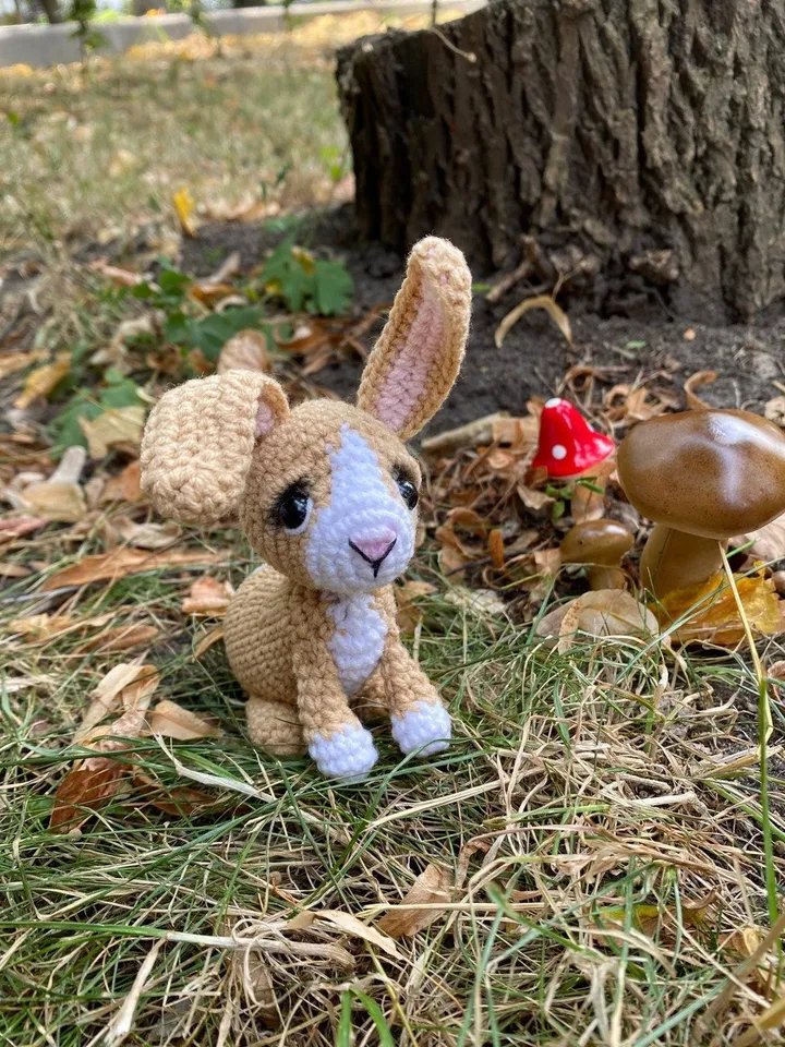 PDF Rabbit Crochet pattern, Crochet SET Animal Pattern, Crochet bunny, Amigurumi baby toy, Crochet Cute bunny Amigurumi, realistic amigurumi