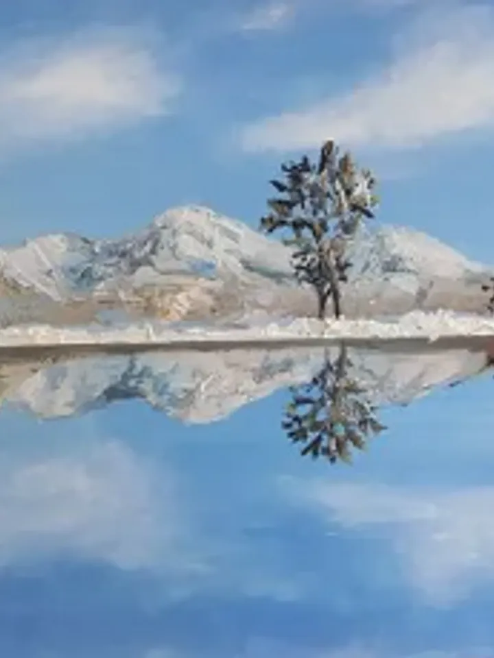 Painting “Reflection”, oil, size 78 x34 cm, framed