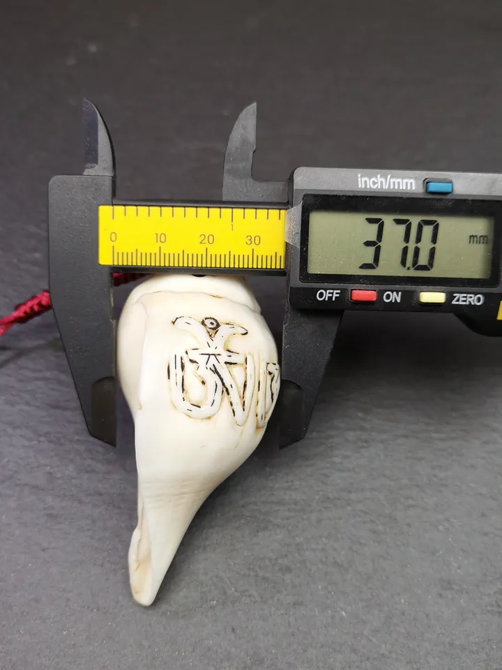 Gandhanra Tibetan Buddhism Amulet,Hand Carved White Conch Shankha with OM Letters,Tibetan Ritual Implement