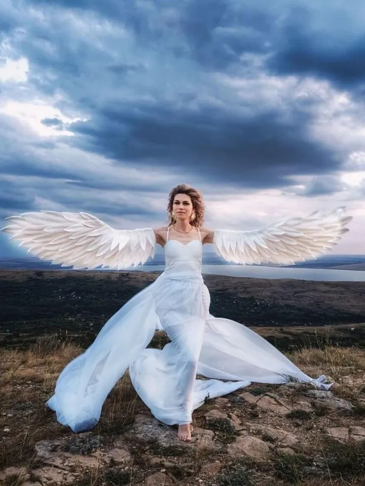 White wings, Christmas wings, sleeves, arms wings, gloves, poultry wings, swan