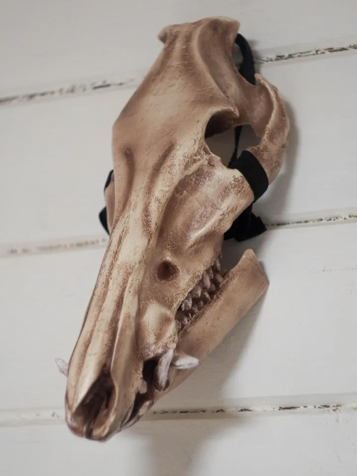 Boar Skull Mask | animal skull mask | Viking skull Mask | resin skull mask | cosplay face mask | halloween scary mask | creepy mask