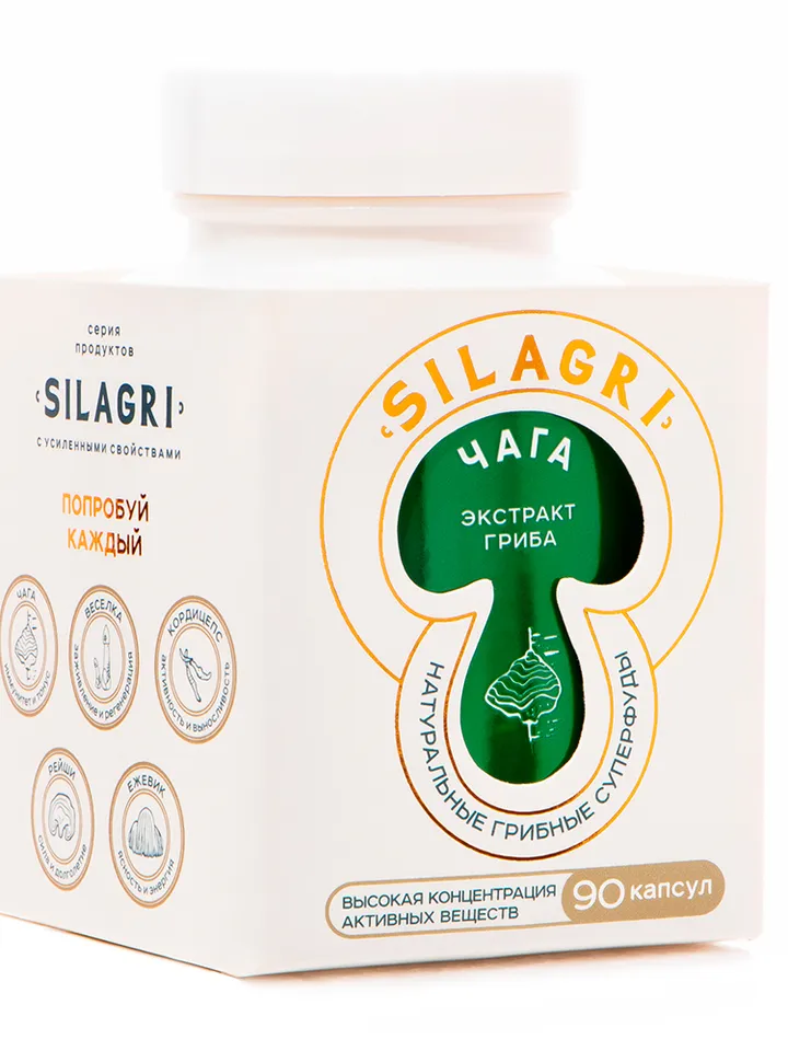 Chaga mushroom capsules 90 pcs.