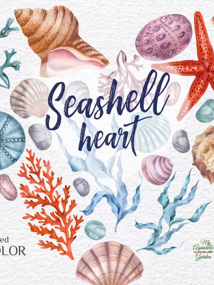 Seashells heart Ocean creatures Under the sea Corals starfishesl seagrass Watercolor hand-painted images Nursery wedding decor Printable PNG