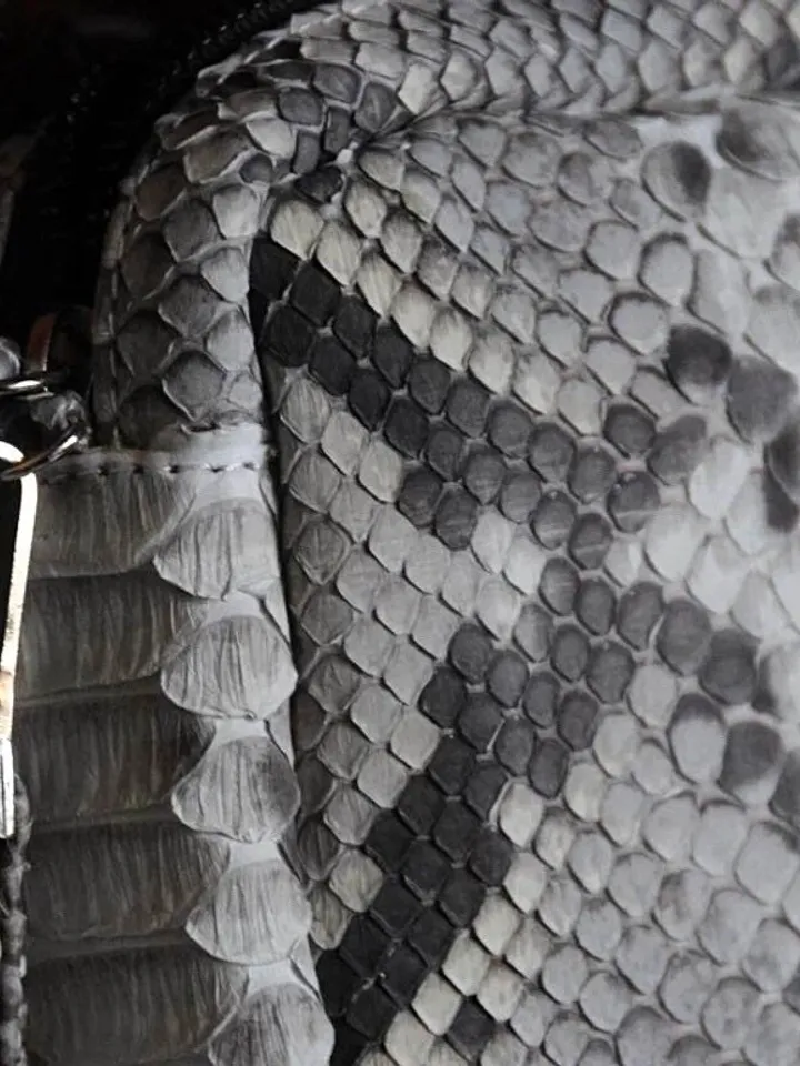 Smalll woman genuine python skin elegant grey snake print clutch | small every day purse| exotic leather bag | gift for her | snakeskin bag